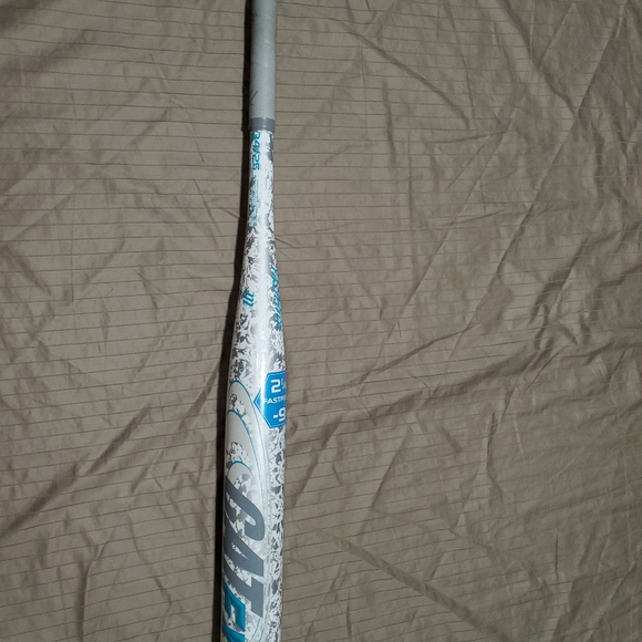 Great bat - Picture 7 of 7